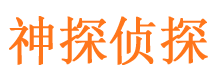 南岳市私家侦探